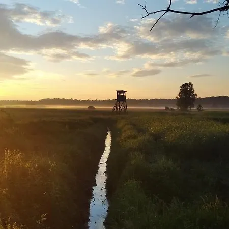 Séjour chez l'habitant Idée Fixe Rybna Tarnowskie Góry